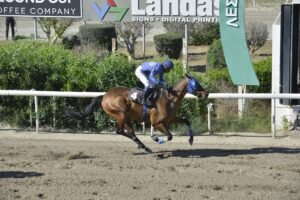 4_3_TRACHONITIS  / ΤΡΑΧΩΝΙΤΗΣ ΙΠΠΟΔΡΟΜΟΣ ΚΥΠΡΟΣ - 18/05/2025