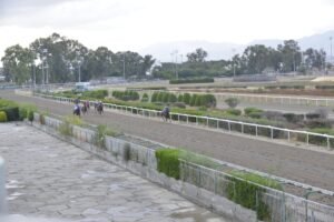 5_1_HAWAII AUTHORITY