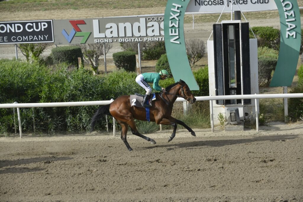 Ξέφυγε στην κορυφή η Μαστόρισσα 3 5_2_HAWAII BOSS ΧΑΒΑΗ ΜΠΟΣ - 25/05/2025 ΚΥΠΡΙΑΚΟΣ ΙΠΠΟΔΡΟΜΟΣ