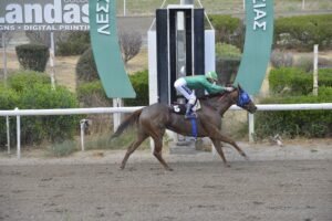 5_3_HAWAII AUTHORITY