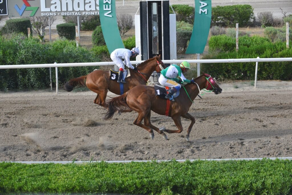 Άριστες ιππεύσεις ο Χ. Λ. Ανδρέου 4 6_1_DIAMOND STELLARAS ΝΤΑΗΑΜΟΝΤ ΣΤΕΛΛΑΡΑΣ - 25/05/2025 ΚΥΠΡΙΑΚΟΣ ΙΠΠΟΔΡΟΜΟΣ