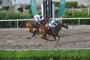 6_1_DIAMOND STELLARAS ΝΤΑΗΑΜΟΝΤ ΣΤΕΛΛΑΡΑΣ - 25/05/2025 ΚΥΠΡΙΑΚΟΣ ΙΠΠΟΔΡΟΜΟΣ