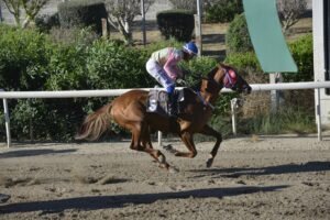 6_1_DIVINUS   / ΝΤΙΒΑΙΝΟΥΣ ΙΠΠΟΔΡΟΜΟΣ ΚΥΠΡΟΣ - 18/05/2025