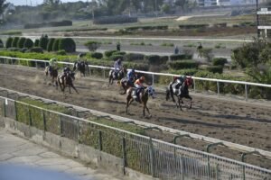 6_1_GIOZEV / ΓΙΟΖΕΒ - 21/05/2025 - ΙΠΠΟΔΡΟΜΟΣ ΚΥΠΡΟΣ