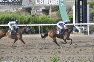 6_1_GOLDEN QUARANTINE