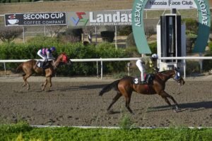 6_1_TSERKOTIS PSYLLOS