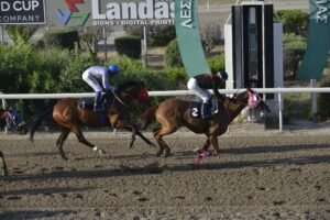 ΙΠΠΟΔΡΟΜΟΣ ΚΥΠΡΟΣ / IPPODROMOS KYPROS AIRKOTISA ΑΙΡΚΟΤΙΣΣΑ - 28/05/2025