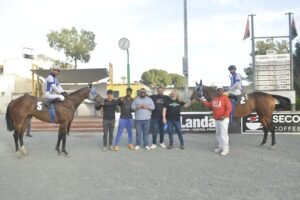 6_2_GOLDEN QUARANTINE