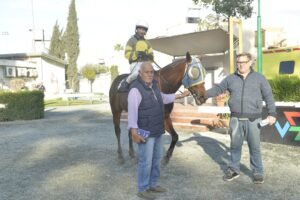 6_2_TSERKOTIS PSYLLOS