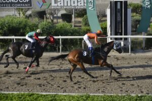 6_3_GIOZEV / ΓΙΟΖΕΒ - 21/05/2025 - ΙΠΠΟΔΡΟΜΟΣ ΚΥΠΡΟΣ