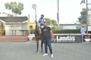 6_3_GOLDEN QUARANTINE