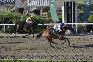 7_1_INTIANOS  / ΙΝΤΙΑΝΟΣ ΙΠΠΟΔΡΟΜΟΣ ΚΥΠΡΟΣ - 18/05/2025