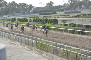 7_1_PSEFTRA ΨΕΥΤΡΑ - 25/05/2025 ΚΥΠΡΙΑΚΟΣ ΙΠΠΟΔΡΟΜΟΣ