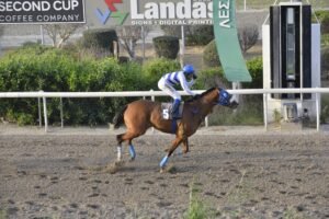 7_1_SABIANCOMONOKORIFI