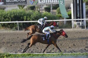 ΙΠΠΟΔΡΟΜΟΣ ΚΥΠΡΟΣ / IPPODROMOS KYPROS VITTIS EKATI ΒΙΤΤΗΣ ΕΚΑΤΗ - 28/05/2025