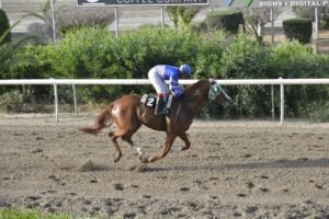 7_2_PSEFTRA ΨΕΥΤΡΑ - 25/05/2025 ΚΥΠΡΙΑΚΟΣ ΙΠΠΟΔΡΟΜΟΣ