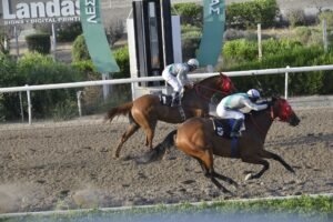 ΙΠΠΟΔΡΟΜΟΣ ΚΥΠΡΟΣ / IPPODROMOS KYPROS VITTIS EKATI ΒΙΤΤΗΣ ΕΚΑΤΗ - 28/05/2025