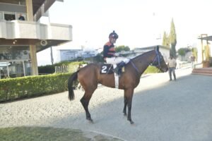 7_3_VENETIA  / ΒΕΝΕΤΙΑ - 21/05/2025 - ΙΠΠΟΔΡΟΜΟΣ ΚΥΠΡΟΣ