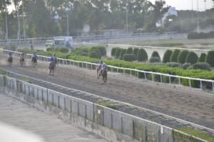 8_1_ECHAPE ΕΣΣΑΠΕ - 25/05/2025 ΚΥΠΡΙΑΚΟΣ ΙΠΠΟΔΡΟΜΟΣ