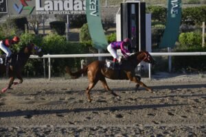 8_1_LOVING KATERINA   / ΛΑΒΙΝΓΚ ΚΑΤΕΡΙΝΑ ΙΠΠΟΔΡΟΜΟΣ ΚΥΠΡΟΣ - 18/05/2025