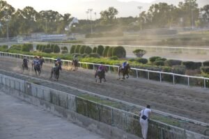 8_1_THEODOROS  / ΘΕΟΔΩΡΟΣ - 21/05/202025 - ΙΠΠΟΔΡΟΜΟΣ ΚΥΠΡΟΣ