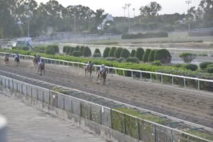 8_2_ECHAPE ΕΣΣΑΠΕ - 25/05/2025 ΚΥΠΡΙΑΚΟΣ ΙΠΠΟΔΡΟΜΟΣ