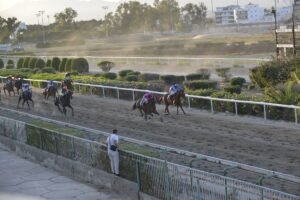 8_2_THEODOROS  / ΘΕΟΔΩΡΟΣ - 21/05/202025 - ΙΠΠΟΔΡΟΜΟΣ ΚΥΠΡΟΣ