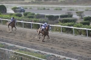 8_3_ECHAPE ΕΣΣΑΠΕ - 25/05/2025 ΚΥΠΡΙΑΚΟΣ ΙΠΠΟΔΡΟΜΟΣ