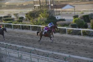 8_3_THEODOROS  / ΘΕΟΔΩΡΟΣ - 21/05/202025 - ΙΠΠΟΔΡΟΜΟΣ ΚΥΠΡΟΣ