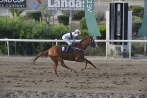 8_4_ECHAPE ΕΣΣΑΠΕ - 25/05/2025 ΚΥΠΡΙΑΚΟΣ ΙΠΠΟΔΡΟΜΟΣ