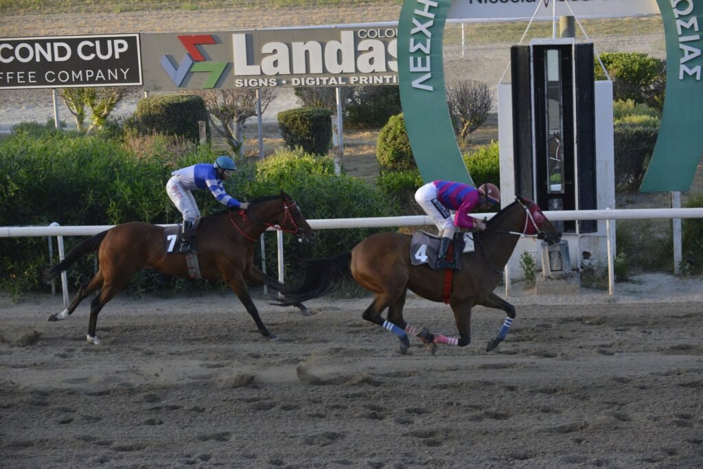 8_4_THEODOROS  / ΘΕΟΔΩΡΟΣ - 21/05/202025 - ΙΠΠΟΔΡΟΜΟΣ ΚΥΠΡΟΣ