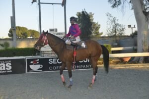 8_6_THEODOROS  / ΘΕΟΔΩΡΟΣ - 21/05/202025 - ΙΠΠΟΔΡΟΜΟΣ ΚΥΠΡΟΣ