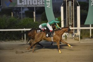 9_1_LOVING LADY / ΛΑΒΙΓΚ ΛΕΙΤΥ - 21/05/2025 ΙΠΠΟΔΡΟΜΟΣ ΚΥΠΡΟΣ