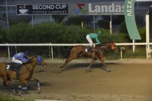 ΙΠΠΟΔΡΟΜΟΣ ΚΥΠΡΟΣ / IPPODROMOS KYPROS  ΘΑΛΑΣΣΙΝΟΣ - 28/05/2025