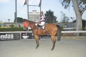 9_2_TARAS LIGHT / ΤΑΡΑΣ ΛΑΙΤ - 25/05/2025 ΚΥΠΡΙΑΚΟΣ ΙΠΠΟΔΡΟΜΟΣ