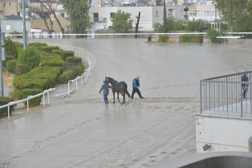 STIVOS 45.2025_STK2559