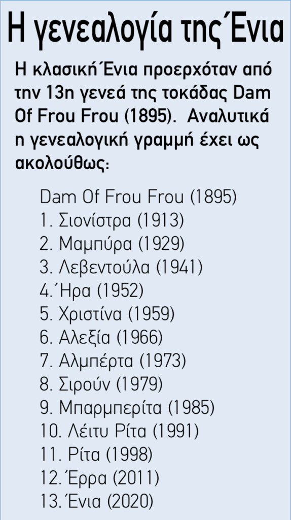 πινακασ ενια