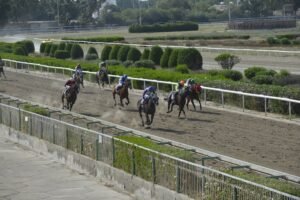 ΙΠΠΟΔΡΟΜΟΣ ΚΥΠΡΟΣ / IPPODROMOS KYPROS BLACK MAMBA ΜΠΛΑΚ ΜΑΜΠΑ - 06/06/2025