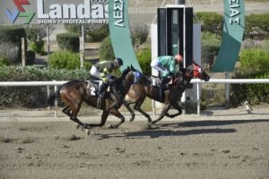 ΧΑI ΚΟΥΡΤ - 27/06/2025 - ΙΠΠΟΔΡΟΜΟΣ ΚΥΠΡΟΣ / IPPODROMOS KYPROS