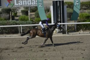 ΜΑΡΚ - 25/06/2025 - ΙΠΠΟΔΡΟΜΟΣ ΚΥΠΡΟΣ / IPPODROMOS KYPROS