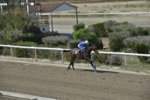 ΙΠΠΟΔΡΟΜΟΣ ΚΥΠΡΟΣ / IPPODROMOS KYPROS SAN ANDRES ΣΑΝ ΑΝΤΡΕΣ - 04/06/2025