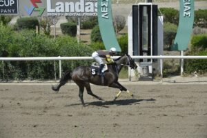 ΙΠΠΟΔΡΟΜΟΣ ΚΥΠΡΟΣ / IPPODROMOS KYPROS TSERKOTISSA MIRACLE ΤΣΕΡΚΩΤΙΣΣΑ ΜΙΡΑΚΟΛ - 01/06/2025