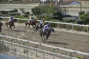 ΙΠΠΟΔΡΟΜΟΣ ΚΥΠΡΟΣ / IPPODROMOS KYPROS BLACK MAMBA ΜΠΛΑΚ ΜΑΜΠΑ - 06/06/2025