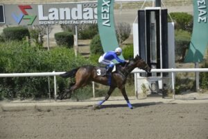 ΙΠΠΟΔΡΟΜΟΣ ΚΥΠΡΟΣ / IPPODROMOS KYPROS SAN ANDRES ΣΑΝ ΑΝΤΡΕΣ - 04/06/2025