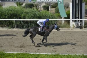 ΙΠΠΟΔΡΟΜΟΣ ΚΥΠΡΟΣ / IPPODROMOS KYPROS BLACK MAMBA ΜΠΛΑΚ ΜΑΜΠΑ - 06/06/2025