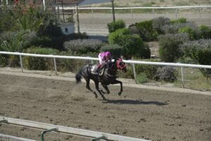 ΙΠΠΟΔΡΟΜΟΣ ΚΥΠΡΟΣ / IPPODROMOS KYPROS ΜΑΥΡΗ ΚΑΛΛΟΝΗ - 13/06/2025
