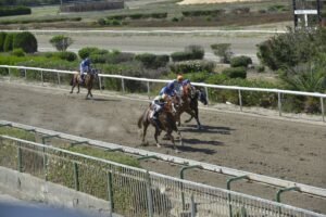 ΙΠΠΟΔΡΟΜΟΣ ΚΥΠΡΟΣ / IPPODROMOS KYPROS CALIFORNIA ΚΑΛΙΦΟΡΝΙΑ - 01/06/2025