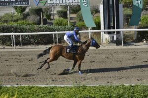 ΕΚΑΒΗ - 27/06/2025 - ΙΠΠΟΔΡΟΜΟΣ ΚΥΠΡΟΣ / IPPODROMOS KYPROS