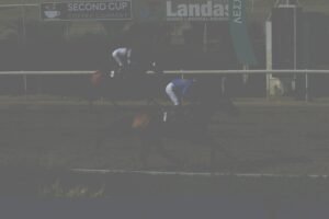 ΙΠΠΟΔΡΟΜΟΣ ΚΥΠΡΟΣ / IPPODROMOS KYPROS KARAMBINA ΚΑΡΑΜΠΙΝΑ - 06/06/2025