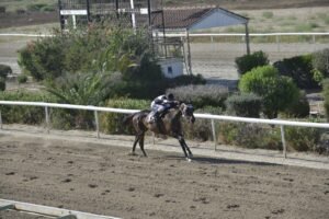 ΑΝΣΤΟΠΑΠΟΛ - 25/06/2025 - ΙΠΠΟΔΡΟΜΟΣ ΚΥΠΡΟΣ / IPPODROMOS KYPROS